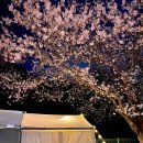 패밀리오토캠핑장 이미지