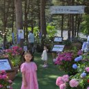 파란마음하얀마음유치원 | 6살 4살 아이와 아침고요수목원 수국 나들이 당일치기