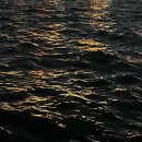 롱 스토리 이미지