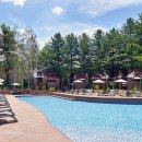 스테이.여름밤 이미지