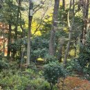 단풍펜션 이미지