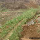 국일농장 이미지