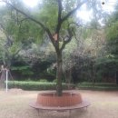 자유공원(장애인화장실) 이미지