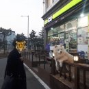CU여수해양공원점