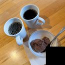 헬로스쿨 | 8 : 옐로나이프 오로라투어 마지막 날 ] 옐로나이프 올드타운, 다운타운 탐방 // 헬로오로라 투어 후기