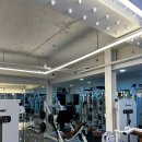 임스타핏 이미지