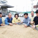 안성마춤농협 미곡처리장 이미지