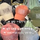 울산 가볼만한곳 울산KBS홀 : 스포츠 명품 아울렛 페어 브랜드행사