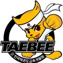 태비태권도 이미지