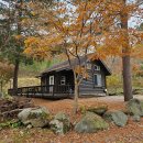 자연을 담은 수채화 교실 | 가을을 담다, 유명산 자연휴양림