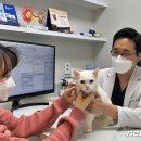 수노을동물병원 이미지