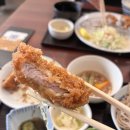 도쿄앤이탈리아돈가스 | 도쿄 여행 7일차 | 하라주쿠 감자튀김· 오모테산도 카페, 마이센 돈까스,시부야 향수천국 노즈샵...