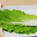 하리벗 네이버블로그