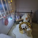 웰리스클리닉동물병원 이미지