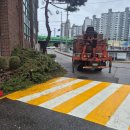 종로교회앞 | 종로구 행촌동(사직로) 폐기물 처리 전문 업체 교회 화단 폐기물 처리는 여기