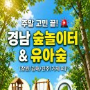 입곡경로당 | 경남 아이와 가볼만한 곳 | 주말마다 고민 끝! 경남 유아숲체험원 &amp; 야외놀이터 총정리