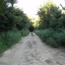 성안중 후문 앞 이미지