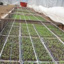 바우찹쌀농장 이미지