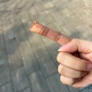 빛나는 가야금 힐링수업 | 인천 가야금학원 이색취미 이색데이트 가야금 원데이클래스 윤가야금 스튜디오 후기