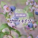 달콤한 푸른농장 이미지