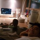 도그허니 이미지