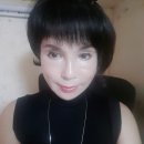 영탁 노래 모음 이미지