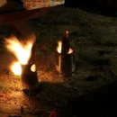 우드라인 이미지