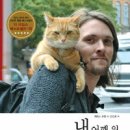 책고양이 네이버블로그