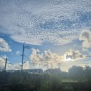 슬로우리제주민박 이미지