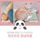 캡틴짐 | 캡틴마블 주인공 구스가 생각나는 길냥이모음