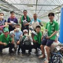 조원진농장 이미지