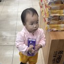 현대양말
