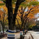 북구청소년회관 앞 이미지