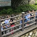 중곡샛별어린이집 이미지