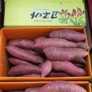 명지농장 이미지