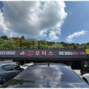 에스제이모터스 이미지