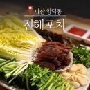 양덕동251 | 마산 양덕동 진해포차 단골과 함께 방문한 과메기 해물파전 맛집