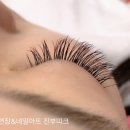 도노노 속눈썹