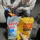 더포레스트 이천 이미지