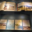 조선대학교 박물관 이미지