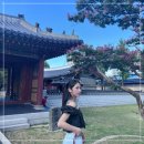 신논현역 울쎄라 강남피부과 울쎄라피프라임 세르프 솔직 후기