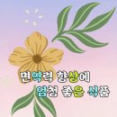 면역력 향상에 좋은 식품 이미지