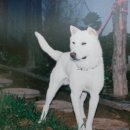 용비농장 이미지