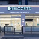 건강하게 동물병원 이미지
