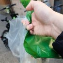 백억커피노원역점