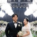 빅트리(Bigtree) 이미지