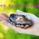 완도전복 이미지