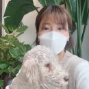 독크루북구점 | 광주애견카페 북구점 매곡동 &#34;독크루&#34; 행복한 시간!