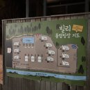 빌리풀 | [양평] 빌리풀램핑 글램핑 내돈내산 후기 (온수풀, 바베큐)