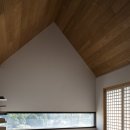 스테이칸 이미지